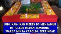 IMG-20250624-WA0023
