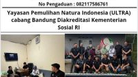 IMG-20250625-WA0007
