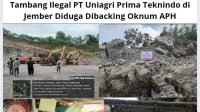 IMG-20250806-WA0000
