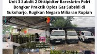 IMG-20251101-WA0003