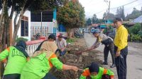 IMG-20251114-WA0046-768x347